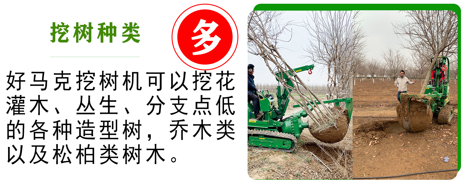 好马克挖树机